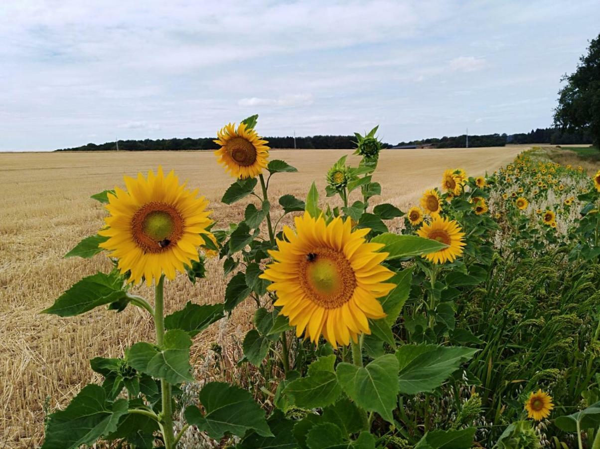 Gite Du Soleil Anhée Zewnętrze zdjęcie